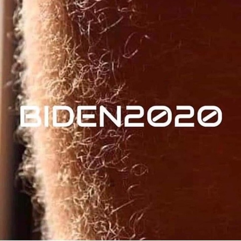 biden 2020 leg hairs 20200724 01.jpg